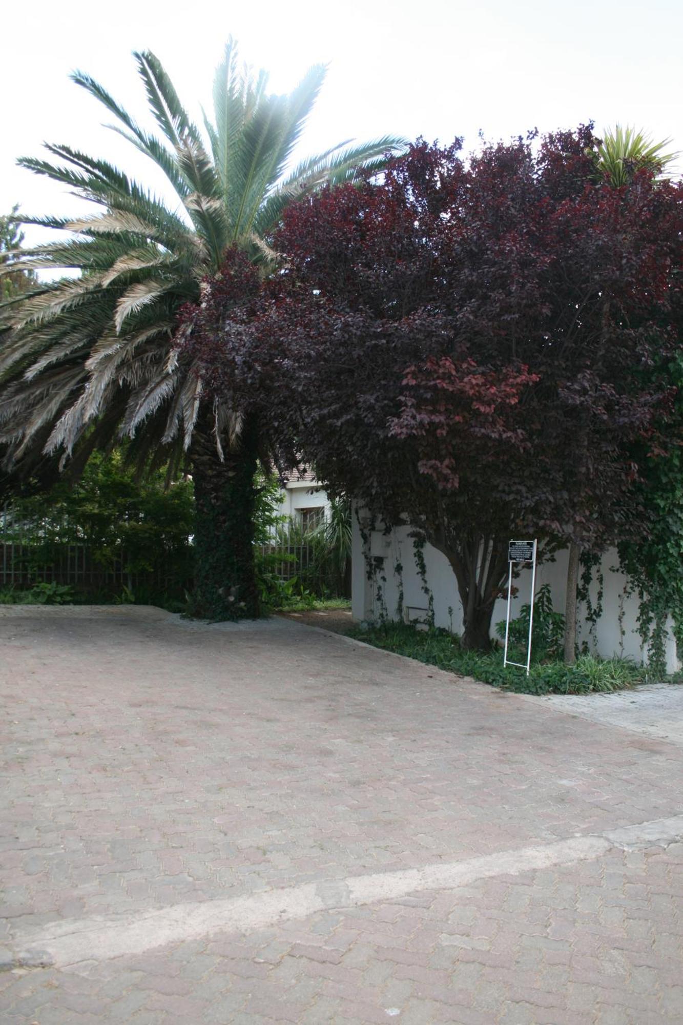 Indigo Moon Guesthouse Lichtenburg Exterior foto
